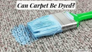 Can-Carpet-Be-Dyed