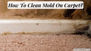 How-To-Clean-Mold-On-Carpet