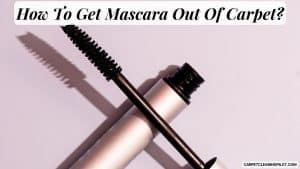 How-To-Get-Mascara-Out-Of-Carpet