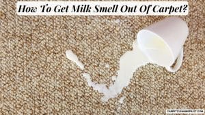 How-To-Get-Milk-Smell-Out-Of-Carpet-1