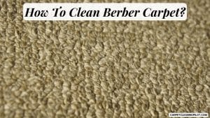 How-To-Clean-Berber-Carpet