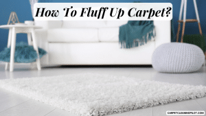 How-To-Fluff-Up-Carpet