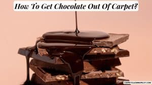 How-To-Get-Chocolate-Out-Of-Carpet
