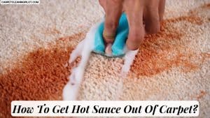 How-To-Get-Hot-Sauce-Out-Of-Carpet-2