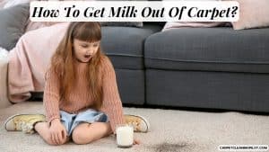 How-To-Get-Milk-Out-Of-Carpet