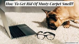 How-To-Get-Rid-Of-Musty-Carpet-Smell
