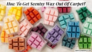 How-To-Get-Scentsy-Wax-Out-Of-Carpet-1