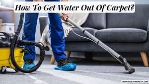 How-To-Get-Water-Out-Of-Carpet