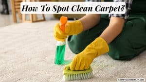 How-To-Spot-Clean-Carpet