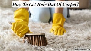 How-To-Get-Hair-Out-Of-Carpet